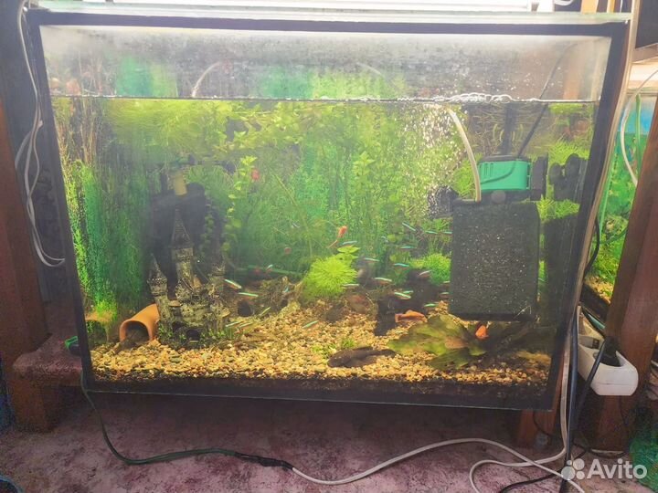 Аквариум с рыбками