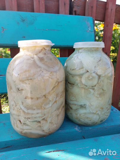 Грибы грузди соленые 3л и 1л