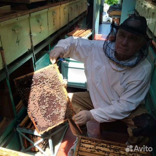 Продаю Мёд от пасечника