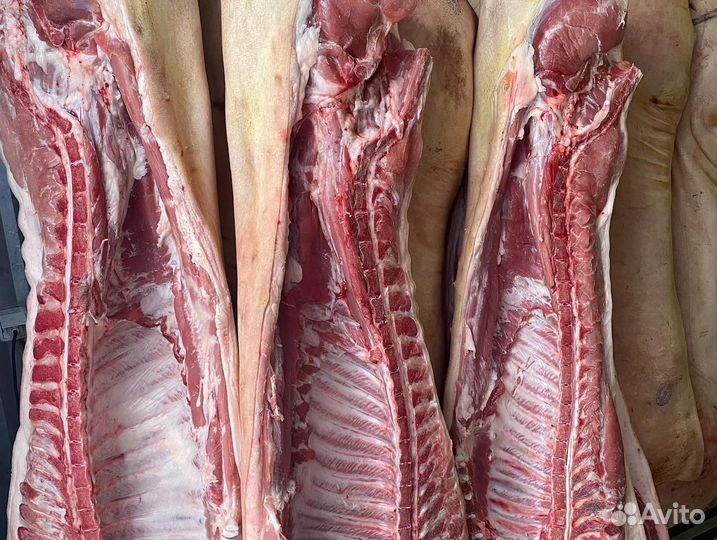 Мясо свинина