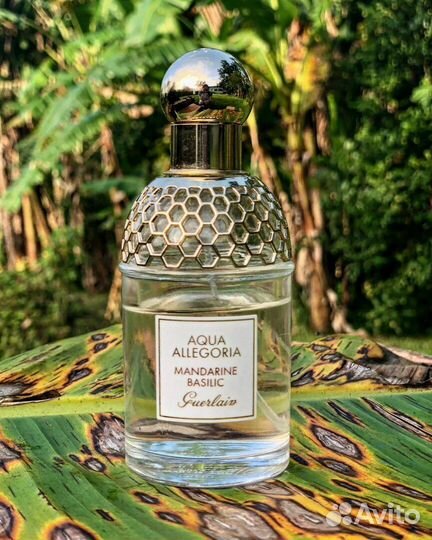 Версионный эквивалент Aqua Allegoria Mandarine