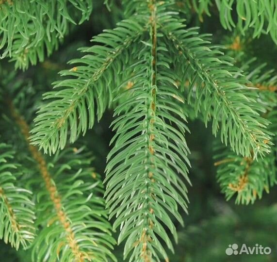 Ёлка искусственная новогодняя литая