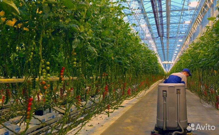 Производственный склад