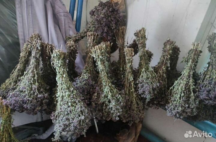 Набор веников и трав для бани мужской