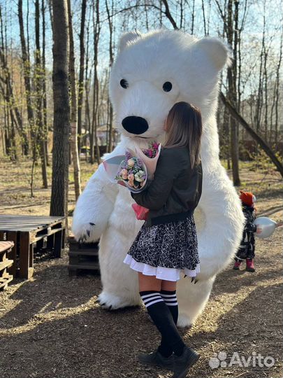 Гиганский Мишка поздравление