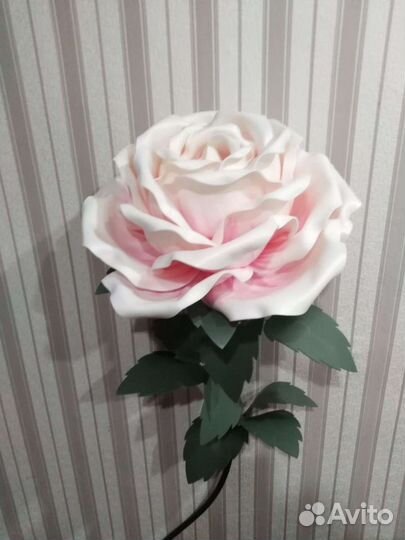 Ростовые цветы