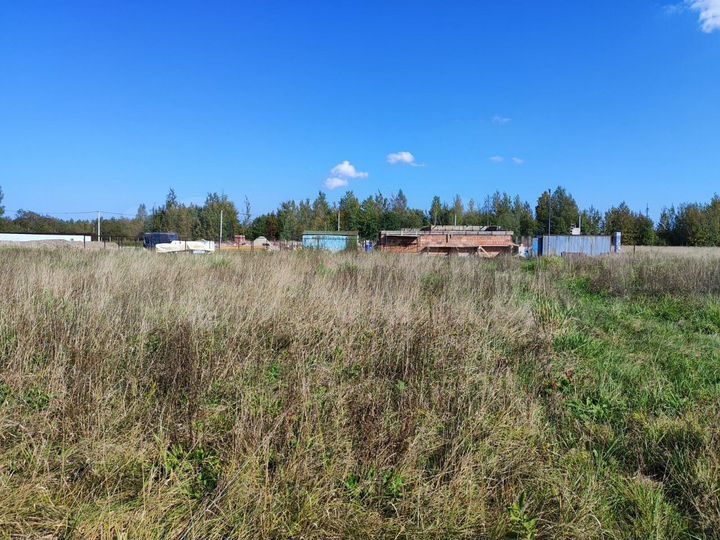 Участок 22,9 сот. (СНТ, ДНП)