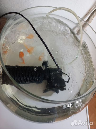 Аквариум с рыбками,золотыми