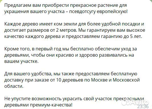 Копирайтер