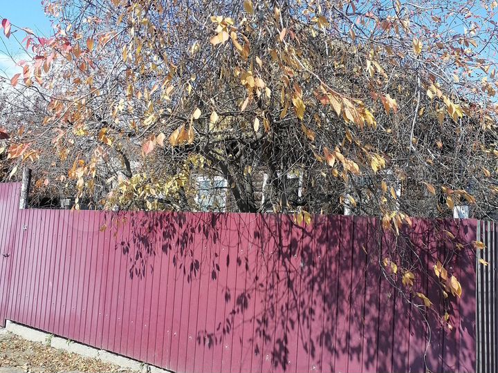 Дом 41 м² на участке 8 сот.