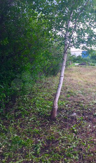 Участок 10 сот. (СНТ, ДНП)