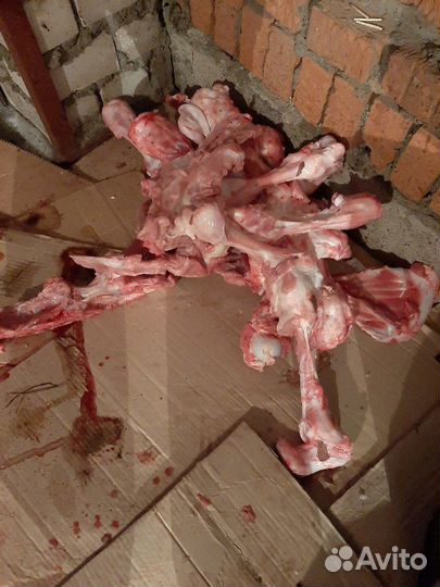 Кости для собак