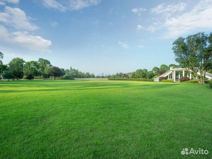 Рулонный газон от производителя