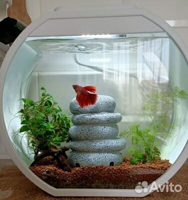 Аквариумный комплекс Deco O Mini чёрный, белый 10л