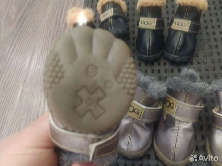 Ботинки для собак