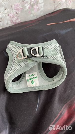 Одежда для собак мелких пород