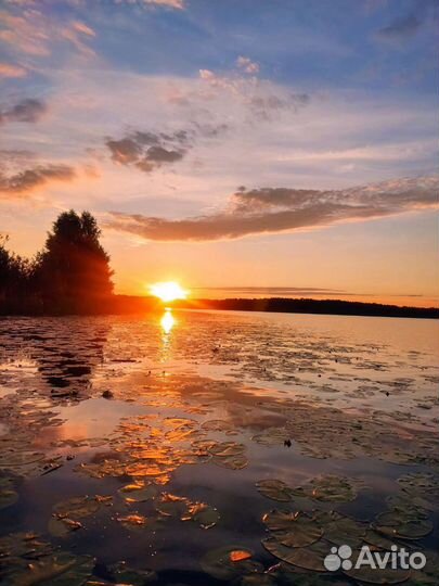 Sup сап доска