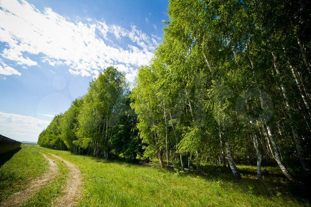 Участок 8,5 сот. (ИЖС)