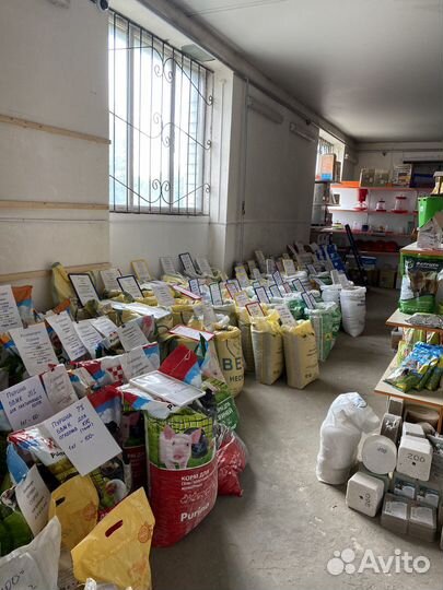 Гречневая крупа пищевая