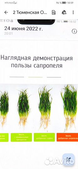 Сапропель от производителя