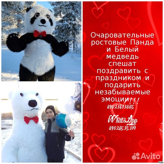 Ростовой медведь