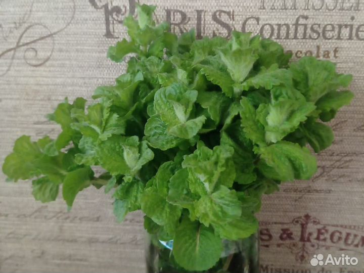 Мята банановая