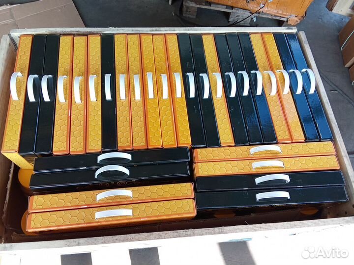 Свежий мед 2023