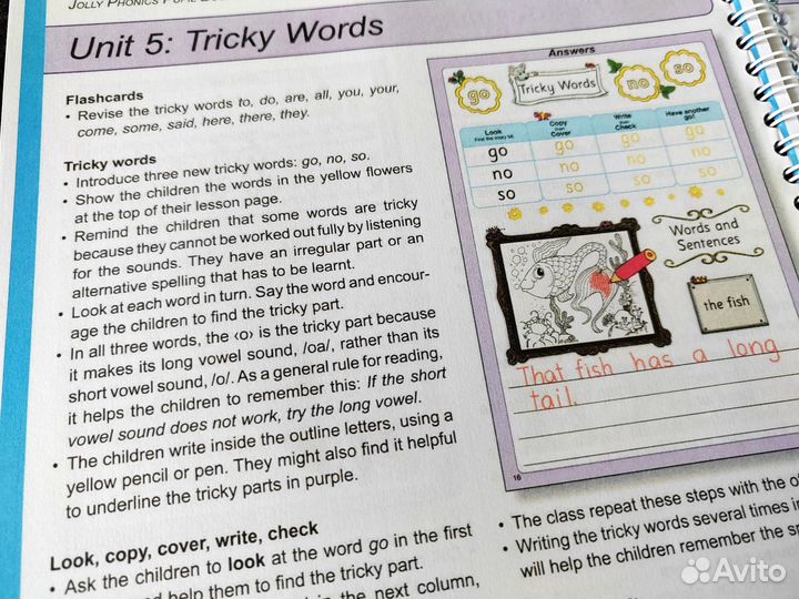 Jolly phonics teachers book