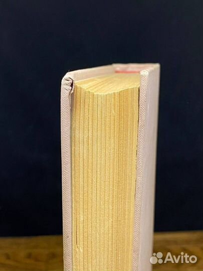 Тегеран. Книга 2