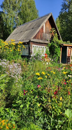 Дача 20 м² на участке 6 сот.