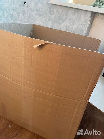 Женская одежда