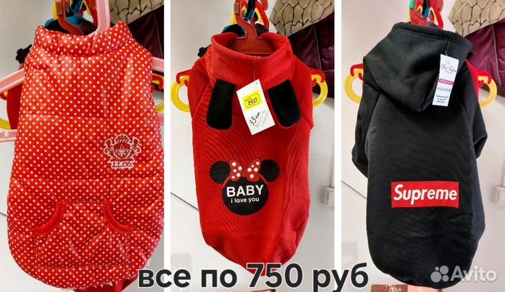 Одежда для собак