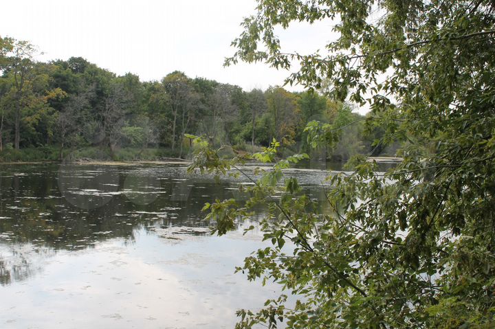 Участок 44 сот. (ИЖС)