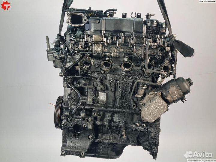 Двигатель G8DA Ford Focus 2 (2005-2011)