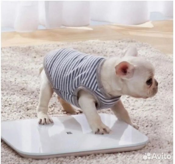 Весы Xiaomi MI Smart Scale 2