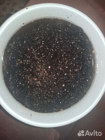 Грунт чёрный кварц натуральный для аквариума