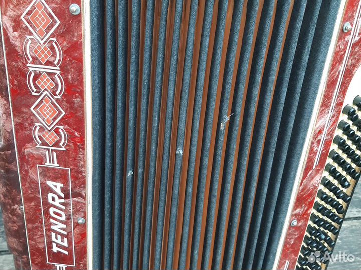 Аккордеон Tenora