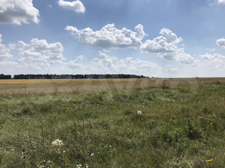 Участок 7 га (СНТ, ДНП)