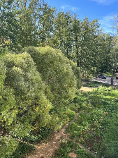 3-к. квартира, 71,7 м², 3/5 эт.