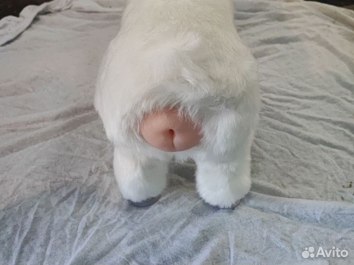 Игрушки для собак