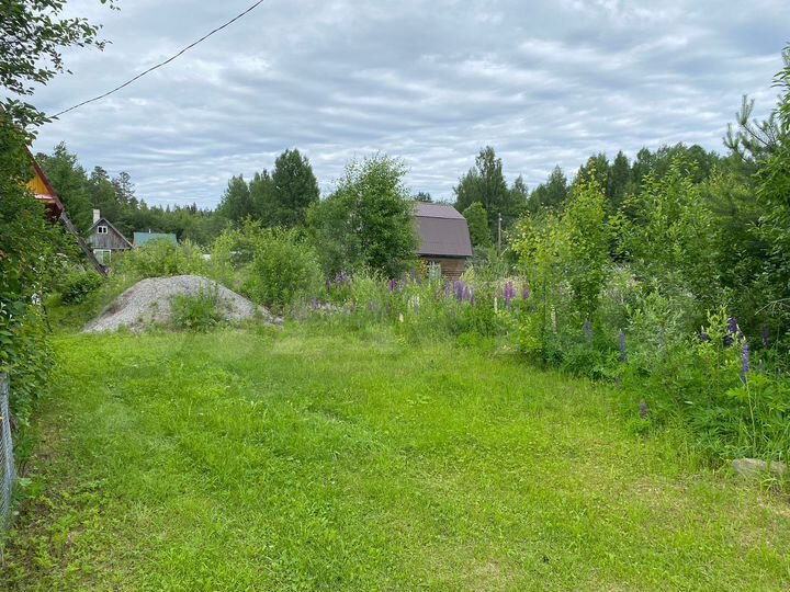 Участок 18 сот. (СНТ, ДНП)