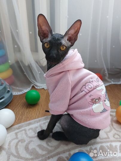 Кошка на вязку