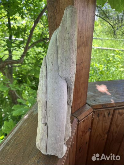 Дрифтвуд морские коряжки любые