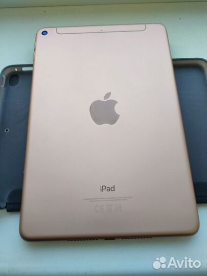 iPad mini 5 cellular