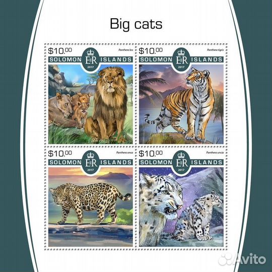 Соломоновы о-ва, 2017. (slm17507) Фауна, большие к