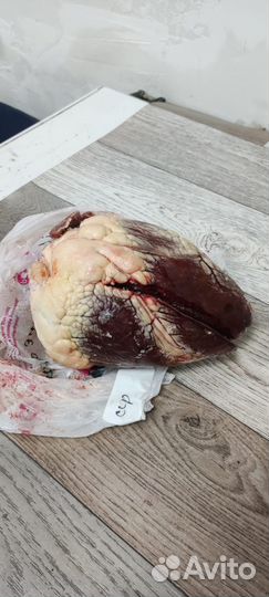 Сердце говяжье