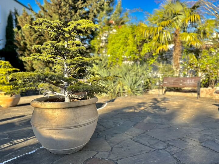 Комната 37 м² в 1-к., 1/1 эт.