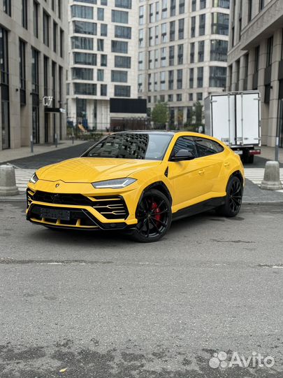 Lamborghini Urus 4.0 AT, 2021, 33 000 км