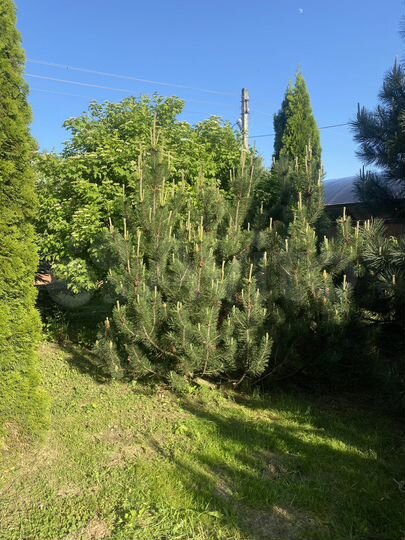 Дом 400 м² на участке 20 сот.