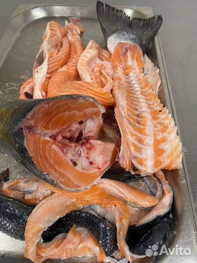 Набор для ухи из охлажденной семги (лосося)